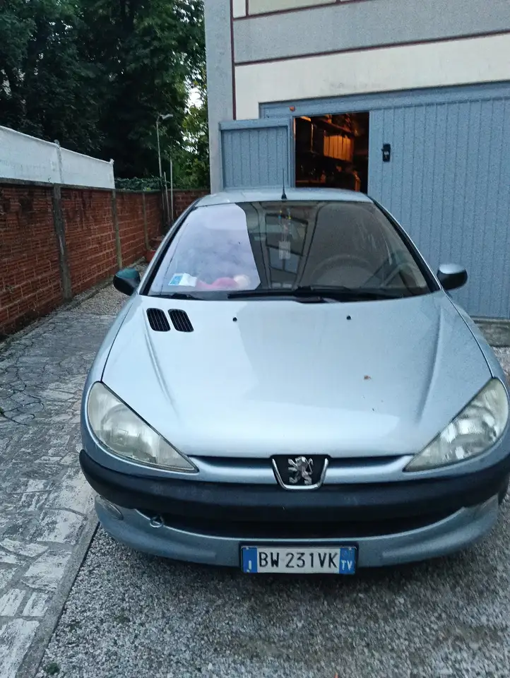 Peugeot 206 1.6 XS, foto 7