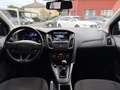 Ford Focus 1.5 TDCi 120 SetS Business Nav Gris - thumbnail 9