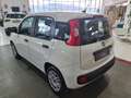 Fiat Panda New 1.3MJT 95CV Easy -----DIESEL----- Bianco - thumnbnail 6