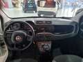 Fiat Panda New 1.3MJT 95CV Easy -----DIESEL----- Bianco - thumnbnail 10