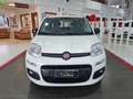 Fiat Panda New 1.3MJT 95CV Easy -----DIESEL----- Bianco - thumnbnail 2