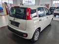 Fiat Panda New 1.3MJT 95CV Easy -----DIESEL----- Bianco - thumnbnail 4
