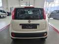 Fiat Panda New 1.3MJT 95CV Easy -----DIESEL----- Bianco - thumnbnail 5