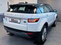 Land Rover Range Rover Evoque HSE *Memory *Meridian *Kamera Blanc - thumbnail 3