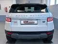 Land Rover Range Rover Evoque HSE *Memory *Meridian *Kamera Blanc - thumbnail 5