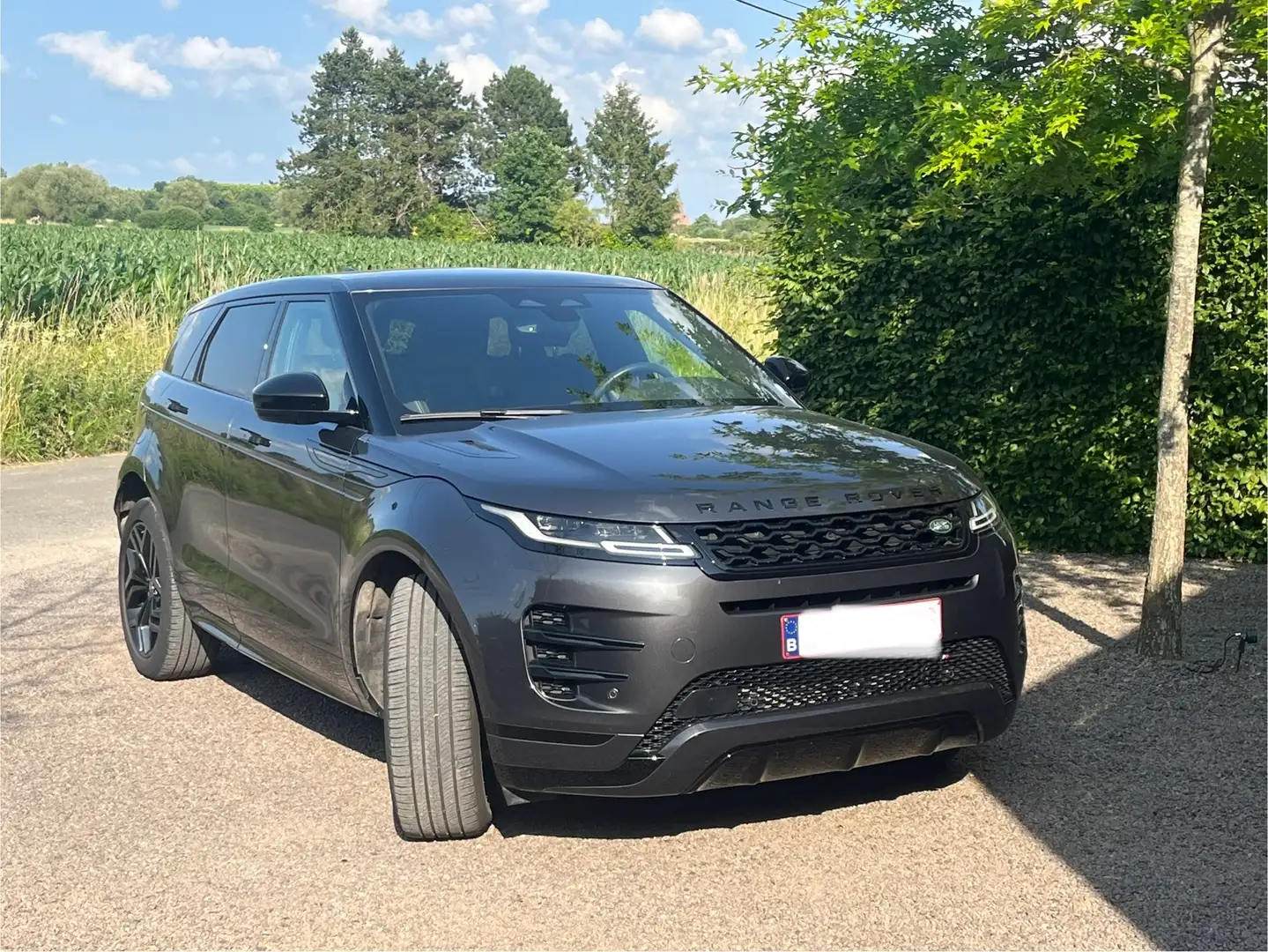 Land Rover Range Rover Evoque Range Rover Evoque P300e R-Dynamic SE Grijs - 2