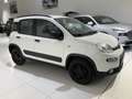 Fiat Panda Panda 1.3 MJT 95 CV S&S 4x4 - thumbnail 3