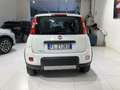 Fiat Panda Panda 1.3 MJT 95 CV S&S 4x4 - thumbnail 5