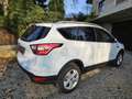 Ford Kuga Kuga 1,5 TDCi Titanium Titanium Weiß - thumbnail 5