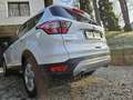 Ford Kuga Kuga 1,5 TDCi Titanium Titanium Weiß - thumbnail 3