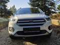 Ford Kuga Kuga 1,5 TDCi Titanium Titanium Weiß - thumbnail 11
