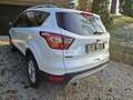 Ford Kuga Kuga 1,5 TDCi Titanium Titanium Weiß - thumbnail 6