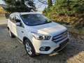 Ford Kuga Kuga 1,5 TDCi Titanium Titanium Weiß - thumbnail 9