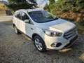 Ford Kuga Kuga 1,5 TDCi Titanium Titanium Weiß - thumbnail 1