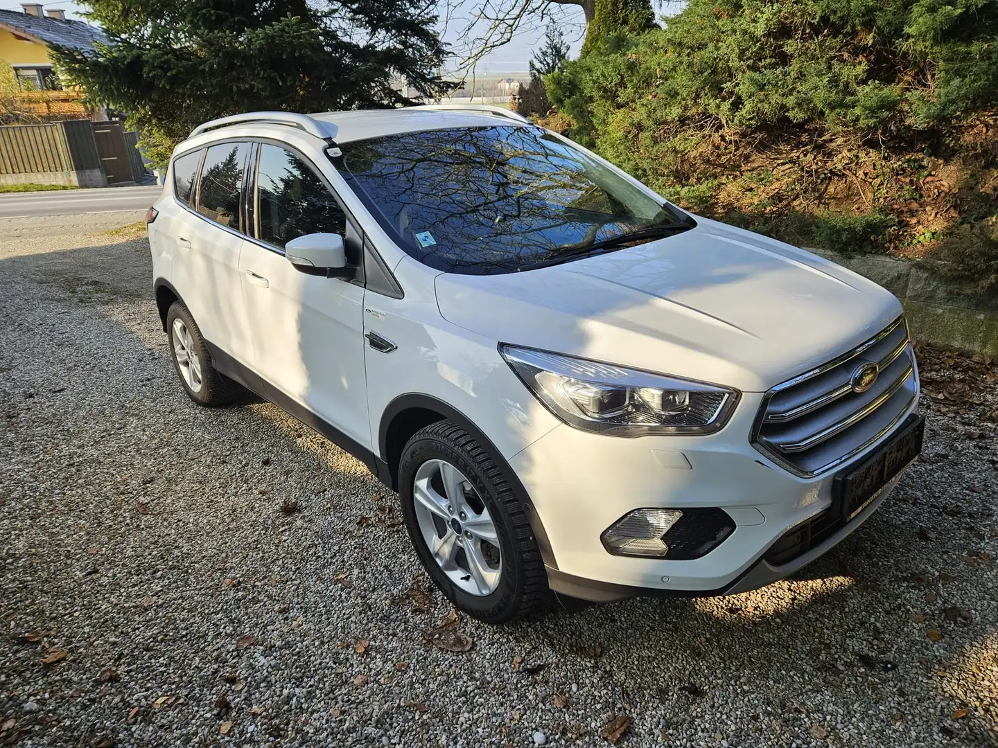 Ford Kuga Kuga 1,5 TDCi Titanium Titanium Weiß - 1