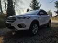 Ford Kuga Kuga 1,5 TDCi Titanium Titanium Weiß - thumbnail 7