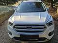 Ford Kuga Kuga 1,5 TDCi Titanium Titanium Weiß - thumbnail 4
