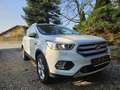 Ford Kuga Kuga 1,5 TDCi Titanium Titanium Weiß - thumbnail 8