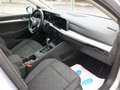 Volkswagen Golf VIII Variant Life Digi.Cockpit/LED/Navi/DAB Plateado - thumbnail 12