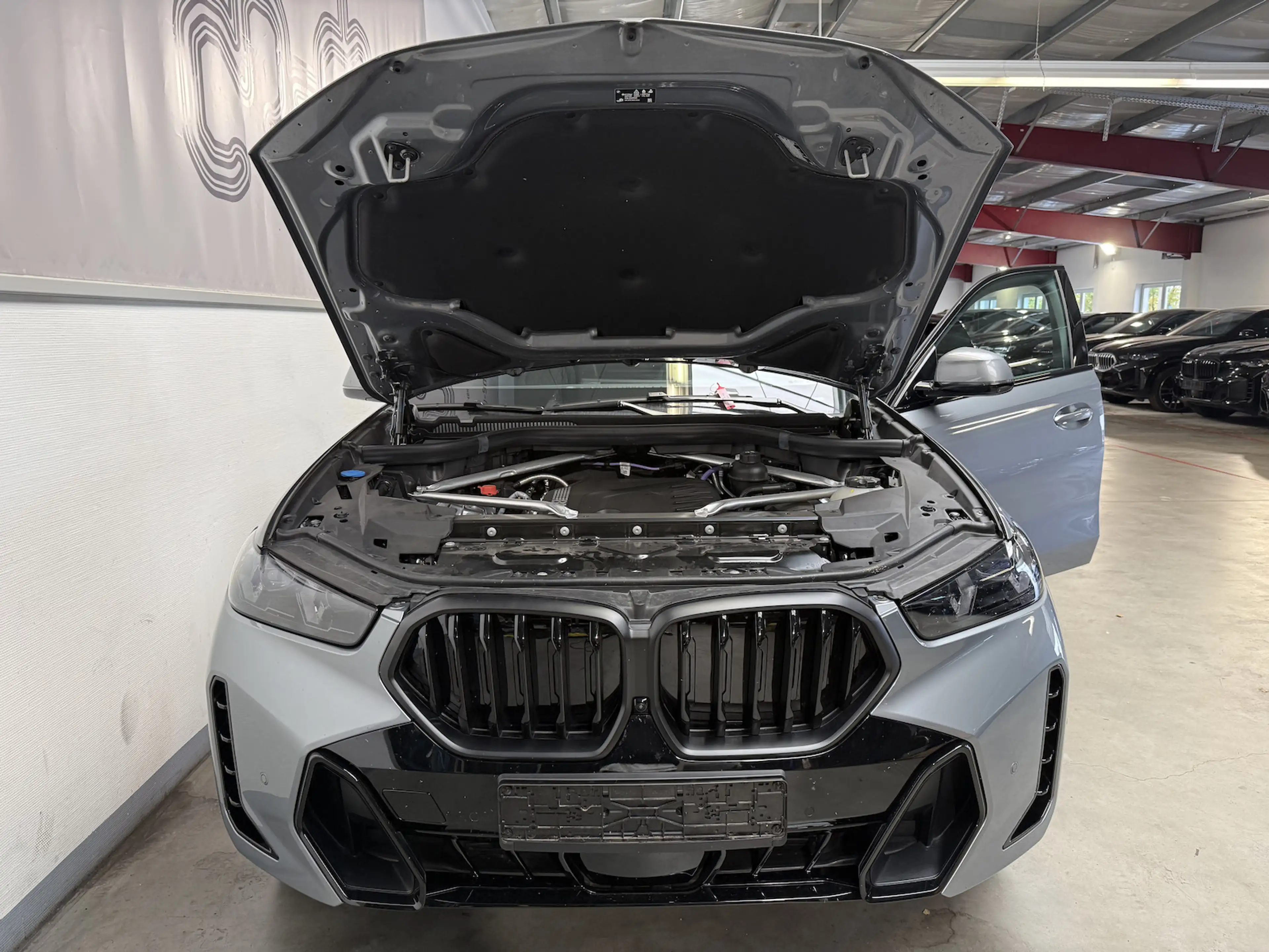 BMW X6 30 d xDr. M Sport Pro/M-Sitze/LUFT/Softcl./PANO — photo 14