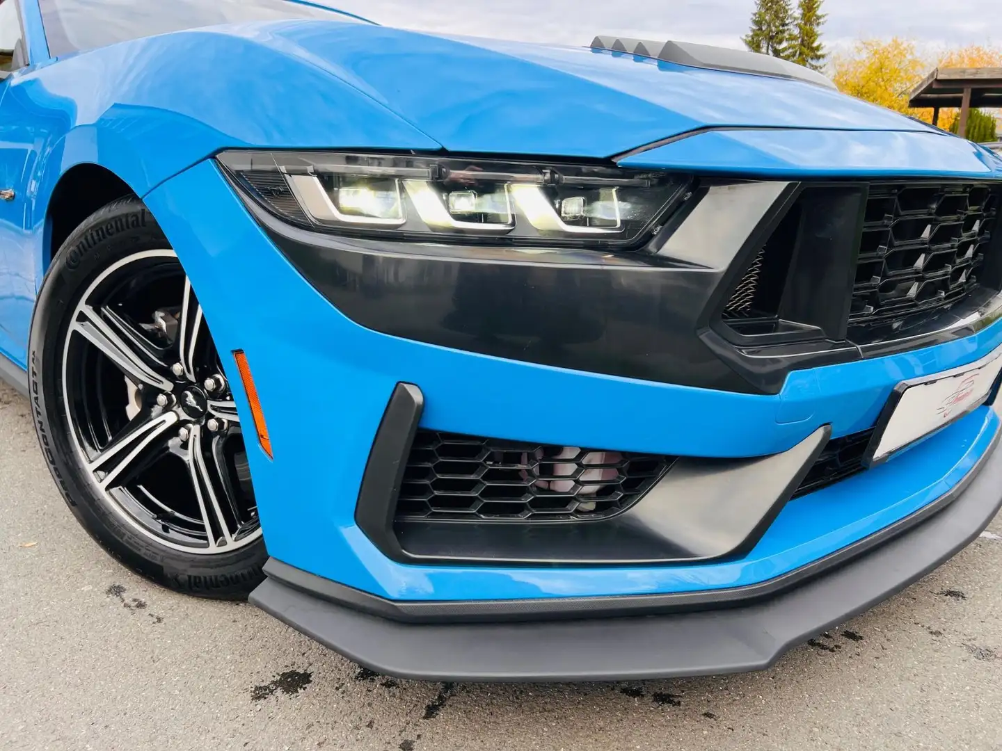 Ford Mustang Widescreen Leder Grabber Blue Blau - 2