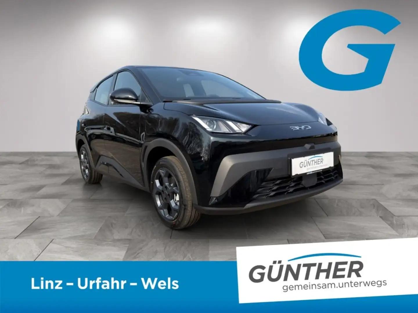 BYD Dolphin Surf Boost Schwarz - 2