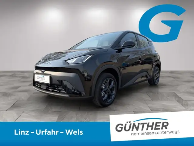 BYD Dolphin Surf Boost