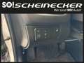Kia Ceed SW / cee'd SW cee'd SW 1,4 MPI Team Austria Edition Silber - thumbnail 13
