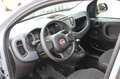 Fiat Panda 1,0  Mild Hybride Grau - thumbnail 6