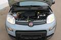 Fiat Panda 1,0  Mild Hybride Grau - thumbnail 13