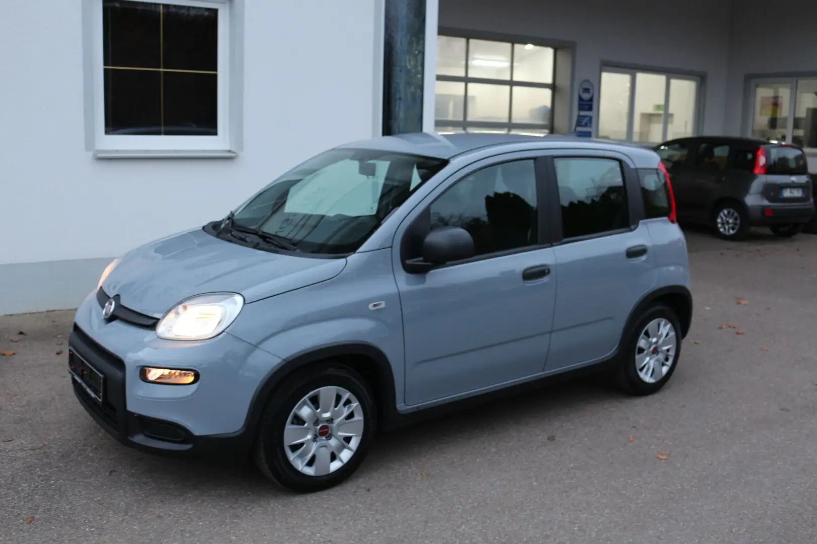Fiat Panda 1,0 Mild Hybride Grau - 1