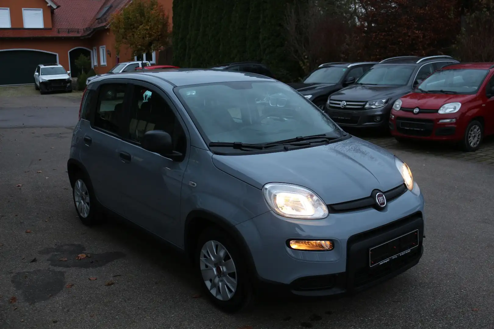 Fiat Panda 1,0 Mild Hybride Grau - 2