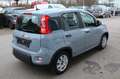 Fiat Panda 1,0  Mild Hybride Grau - thumbnail 3