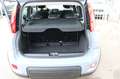 Fiat Panda 1,0  Mild Hybride Grau - thumbnail 16