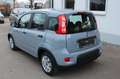Fiat Panda 1,0  Mild Hybride Grau - thumbnail 4