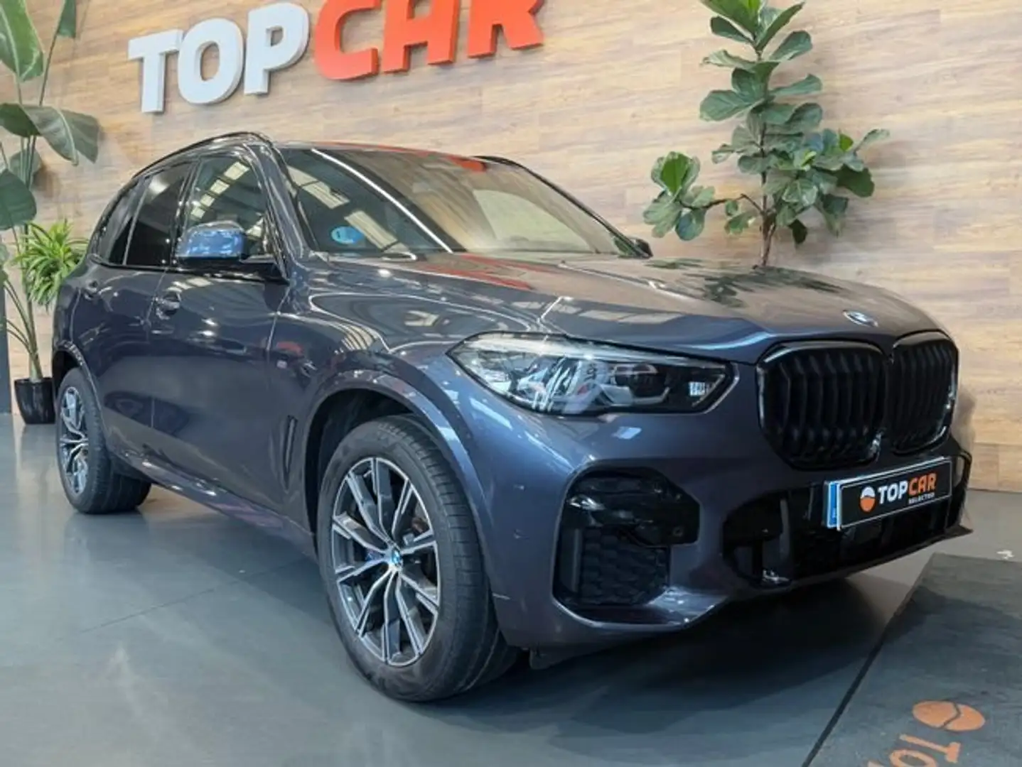 BMW X5 3.0 Xdrive Pack M Gris - 2