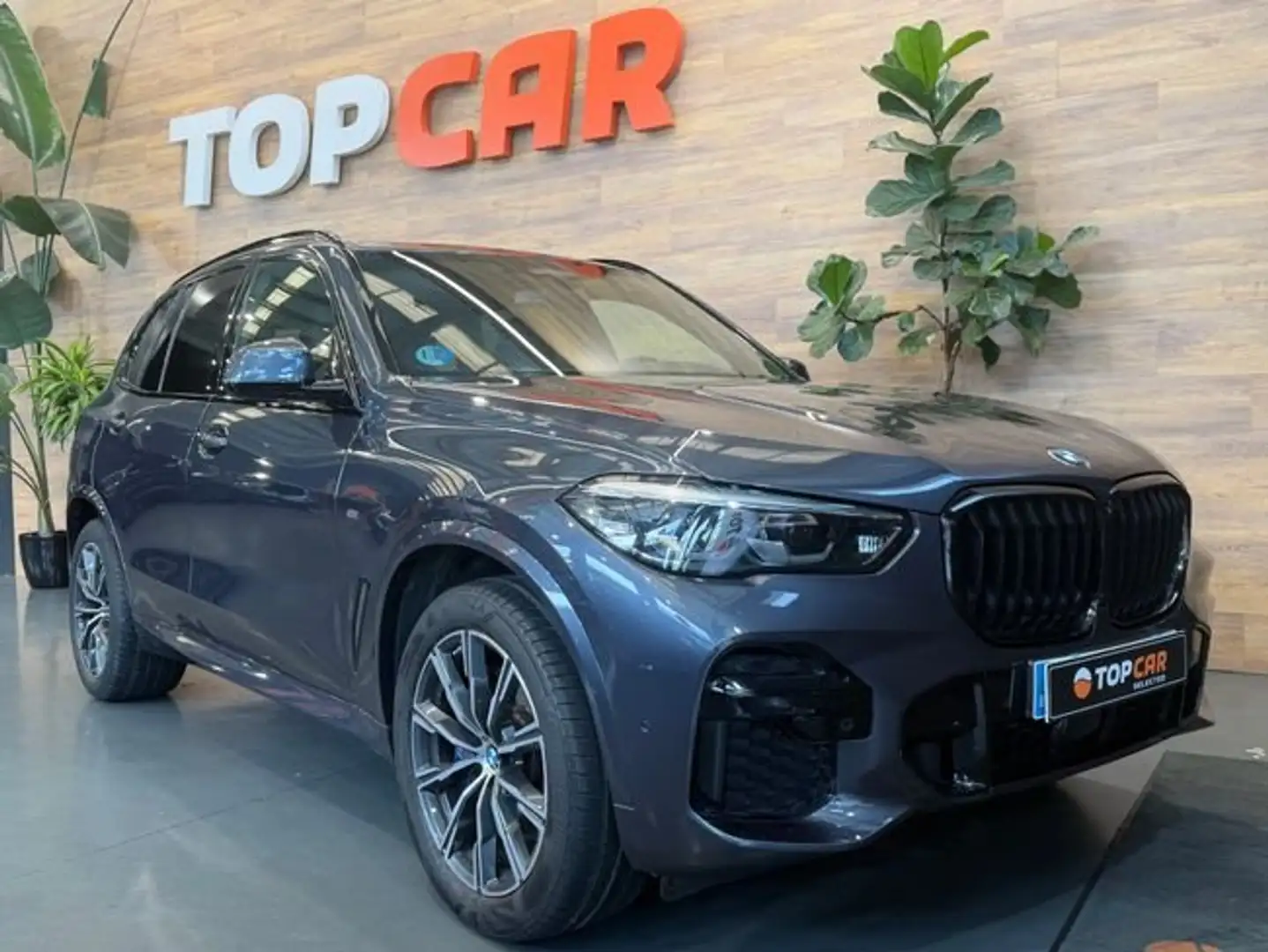 BMW X5 3.0 Xdrive Pack M Gris - 1