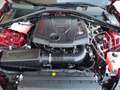 Alfa Romeo Giulia Alfa Giulia 280PS Q4 Rot - thumbnail 19