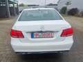 Mercedes-Benz E 350 E 350 BlueTec 4Matic LED Schieb Weiß - thumbnail 5