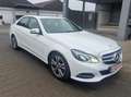 Mercedes-Benz E 350 E 350 BlueTec 4Matic LED Schieb Weiß - thumbnail 8