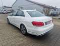 Mercedes-Benz E 350 E 350 BlueTec 4Matic LED Schieb Weiß - thumbnail 4