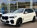 BMW X5 x40i M Sport LiveProf HUD Laser PanoD.AHK 22" Weiß - thumbnail 3