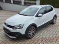 Volkswagen Polo Cross CrossPolo 1,4 TDI BMT Weiß - thumbnail 4