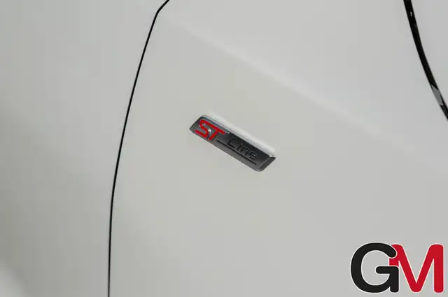 Ford Focus view 8