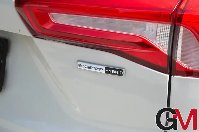 Ford Focus view 10