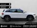 Mercedes-Benz EQB 250 AMG Line Adv. MBUX Aug Real Navi Kamera Blanc - thumbnail 7