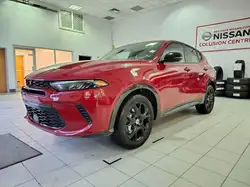Dodge Hornet 2024