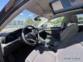 Volkswagen Golf VIII Variant 1.0 TSI Life DSG AHK/Standhz. Grau - thumbnail 3