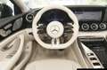 Mercedes-Benz AMG GT AMG GT 43 4M+ V8 Styling/Leder Exkl. Nappa beige Schwarz - thumbnail 12