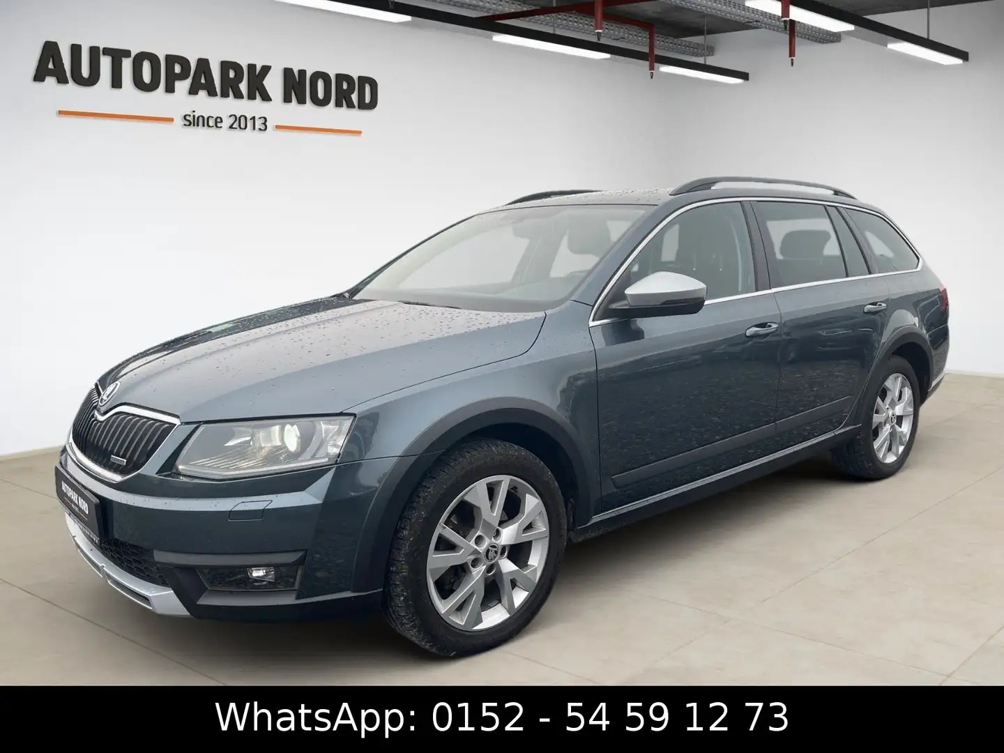 Skoda Octavia 2.0 TDI Combi Scout 4x4/AHK/SHZ/BI-XENON Grau - 1